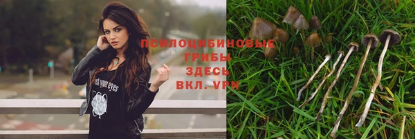 винт Вязьма